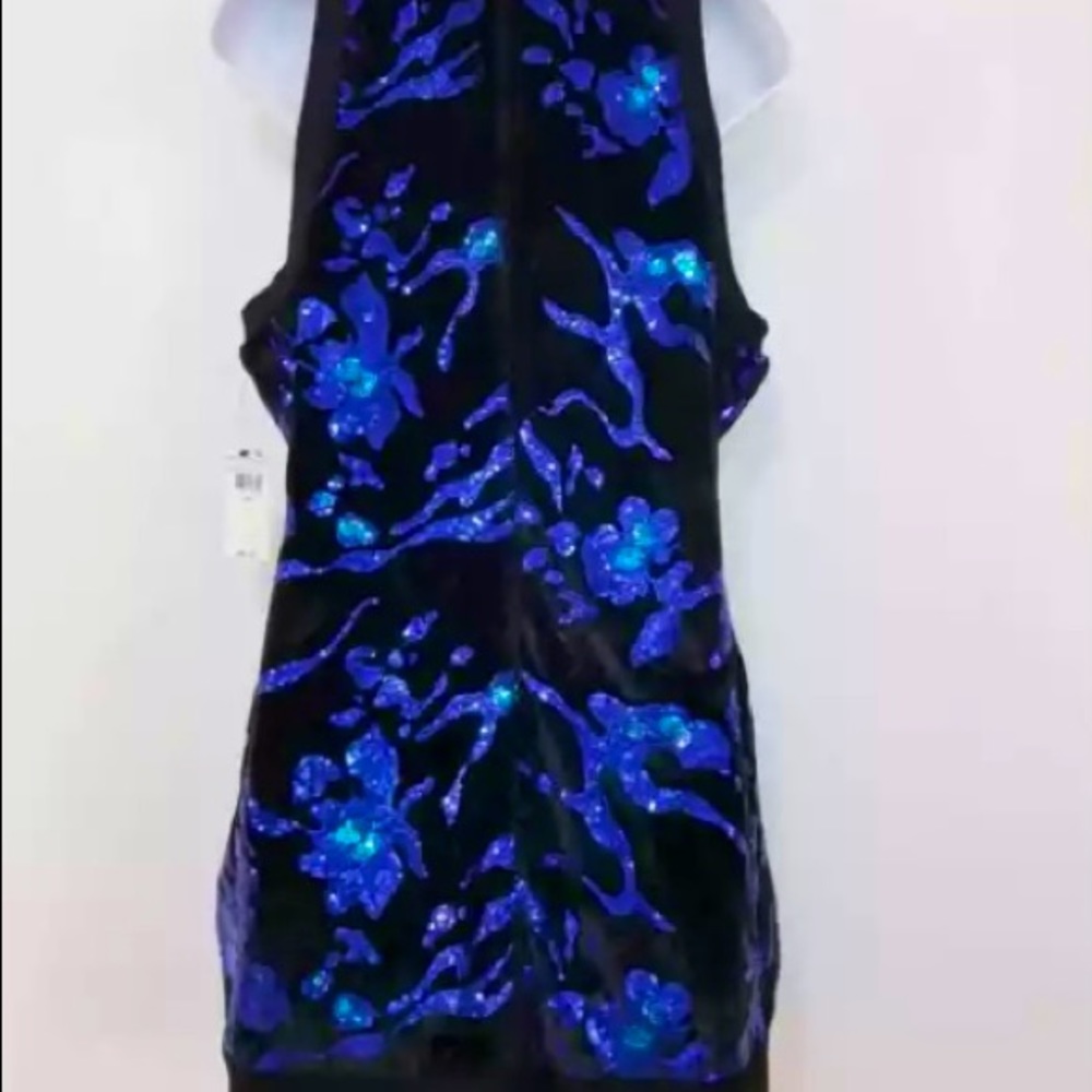Cosmopolitan Dress the Population Sequin Dress